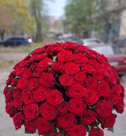 101 Гранпрі 60см