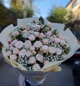 9 гілочок кущової троянди 