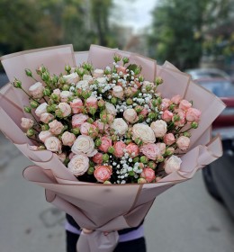 9 гілочок кущової троянди 