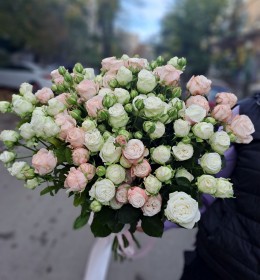 11шт, кущова троянда 