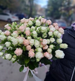 11шт, кущова троянда 