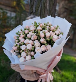 11шт, кущова троянда 