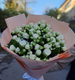 11шт, кущова троянда 