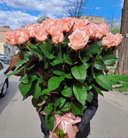 Аріана 21шт.70см