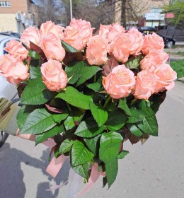 Аріана 21шт.70см