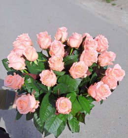 Аріана 21шт.70см