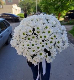 21ромашка