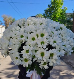 21ромашка