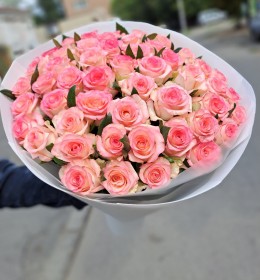 45 джумілія  60см