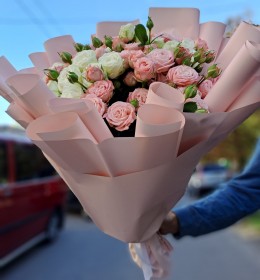 15 мікс кущової троянди 