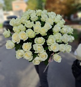 М'ята  51 аваланч 70см