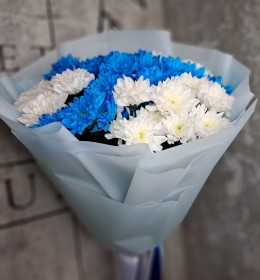  Букет мікс  синіх хризантем 11