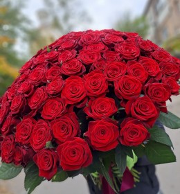 101  червона місцева троянда 60см