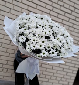 25 білих хризантем