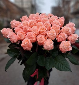 31 шт аріана