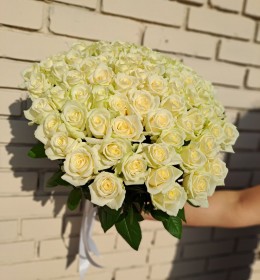 31 аваланч   50см