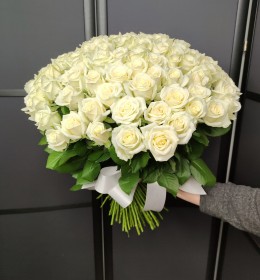 51 аваланч 50см