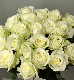 item-image