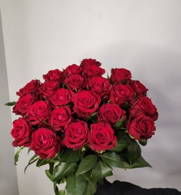 Конамор 70см