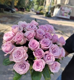 Неллі 50см