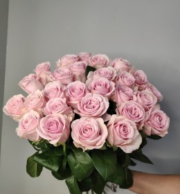 Вієна 60см