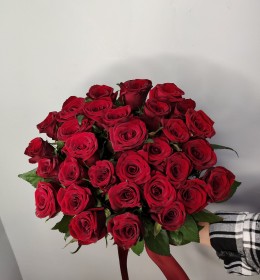 Гранпрі 60см